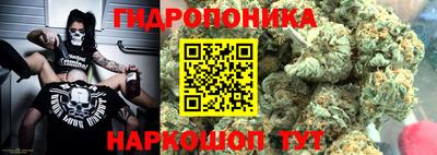 дмт Можайск