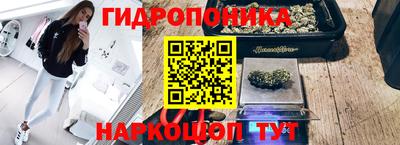 герыч Моздок