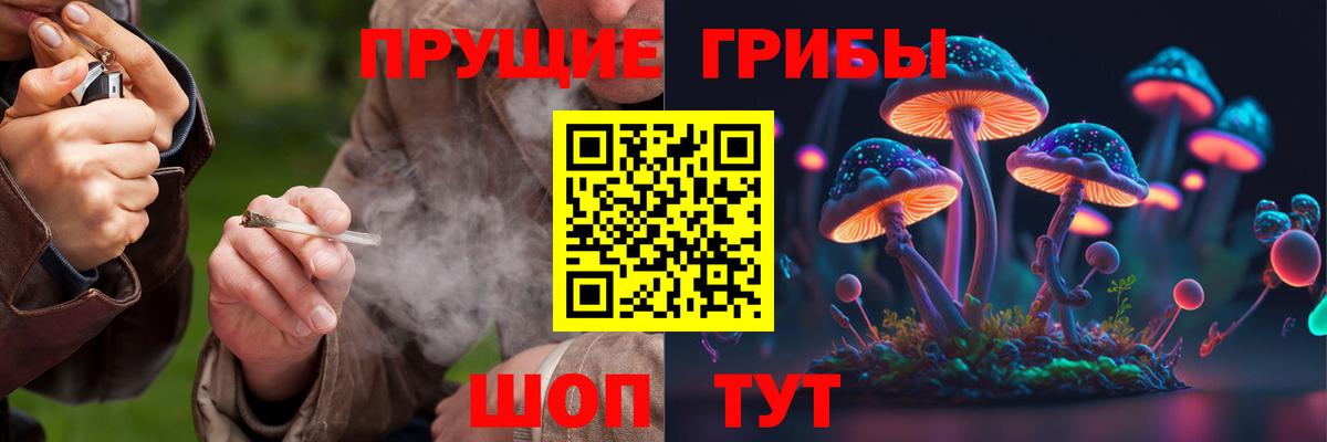 Шелехов  Галлюциногенные грибы Psilocybe  Вход с VPN 
